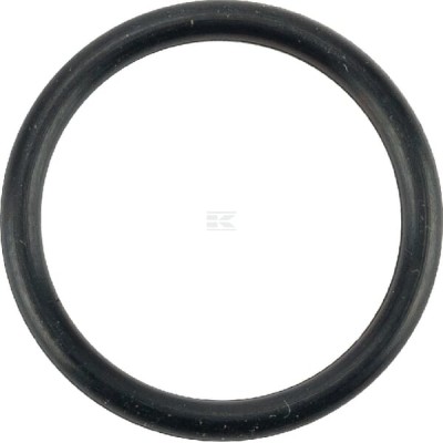 Pierścień o-ring NWS01548 | Exvi