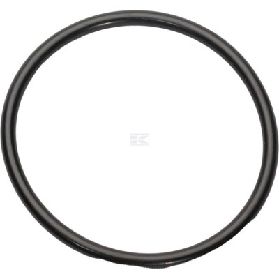Pierścień uszczelniający o-ring 1000224926 | Exvi