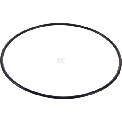 Uszczelniacz oleju 01173415 | Exvi