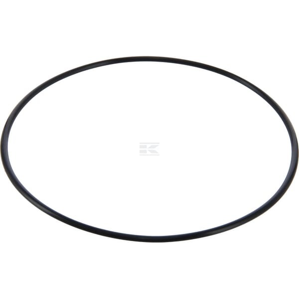 Uszczelniacz oleju 01173415 | Exvi
