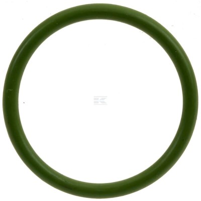 Uszczelniacz oleju 04384345 | Exvi