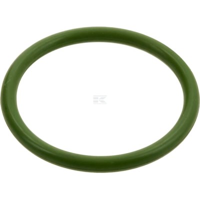 Uszczelniacz oleju 04384345 | Exvi