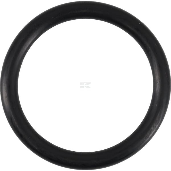 Pierścień uszczelniający o-ring 38x5 mm 75 OR385P010 | Exvi