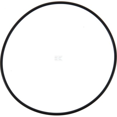 Pierścień uszczelniający o-ring OR14247353P001 | Exvi