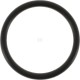 Pierścień uszczelniający o-ring 34x3.5 OR34350P010 | Exvi