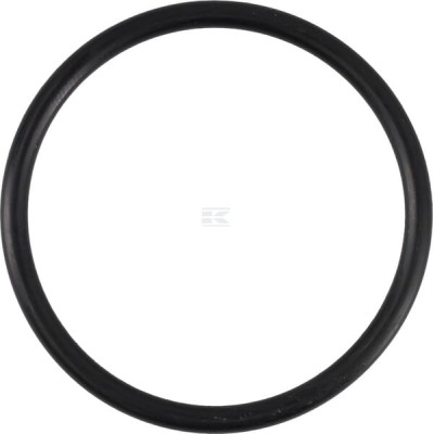 Pierścień uszczelniający o-ring 48x3.5 OR48350P010 | Exvi