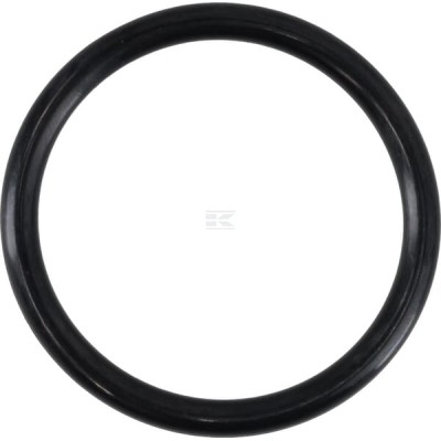Pierścień uszczelniający o-ring 48x5 mm 75 OR485P010 | Exvi