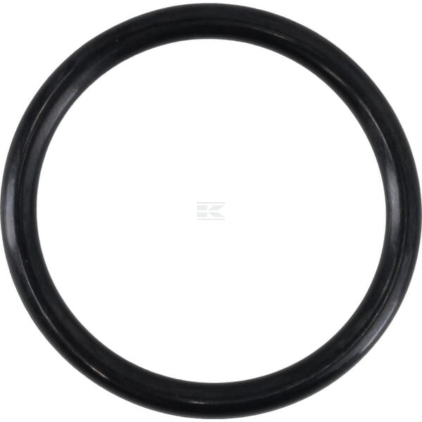 Pierścień uszczelniający o-ring 48x5 mm 75 OR485P010 | Exvi