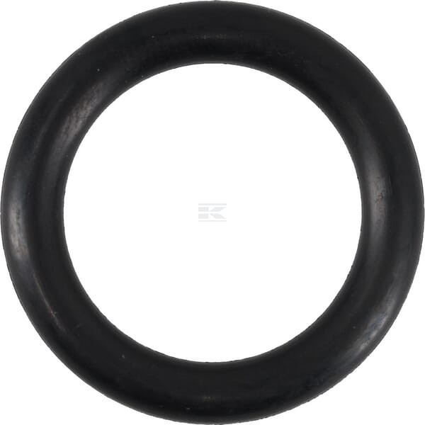 Pierścień uszczelniający o-ring 24x5 mm 75 OR245P010 | Exvi