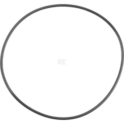 Pierścień uszczelniający o-ring OR1076226290P001 | Exvi