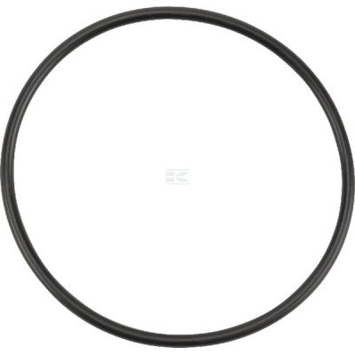 Pierścień uszczelniający o-ring OR616026290P001 | Exvi