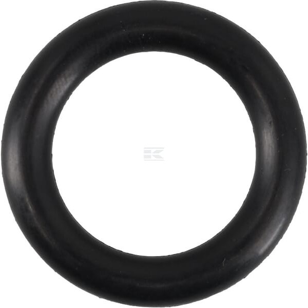Pierścień uszczelniający o-ring 24x6 mm 75 OR246P010 | Exvi