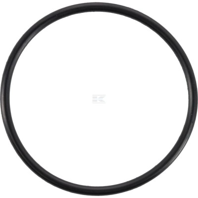 Pierścień uszczelniający o-ring 47x2.5 OR47250P010 | Exvi