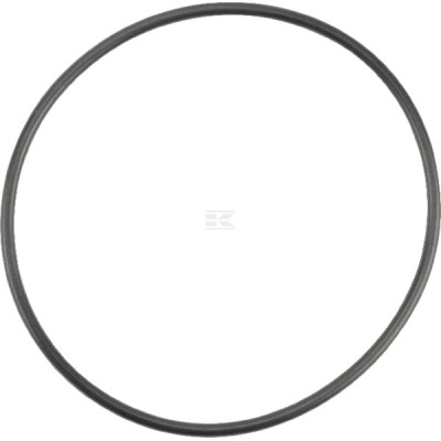 Pierścień uszczelniający o-ring OR758726290P001 | Exvi