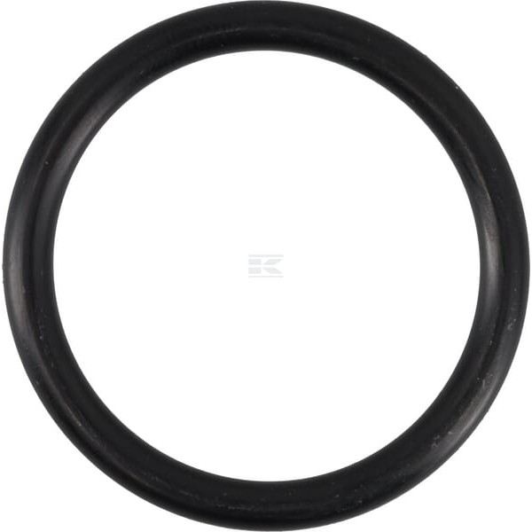 Pierścień uszczelniający o-ring 38x4.5 OR38450P010 | Exvi