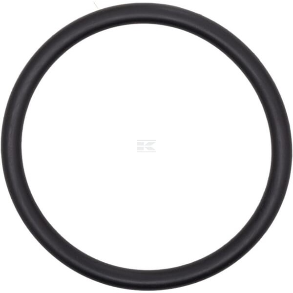 Pierścień uszczelniający o-ring 41x3.5 OR41350P010 | Exvi