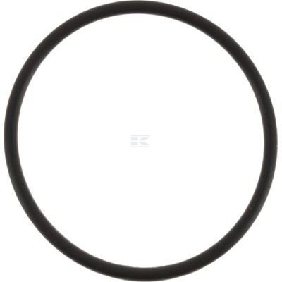 Pierścień uszczelniający o-ring 43x2.5 OR43250P010 | Exvi