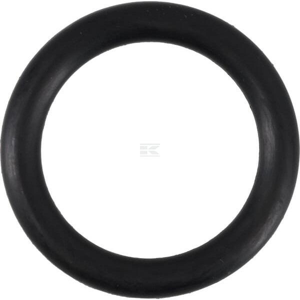 Pierścień uszczelniający o-ring 32x6 mm 75 OR326P010 | Exvi