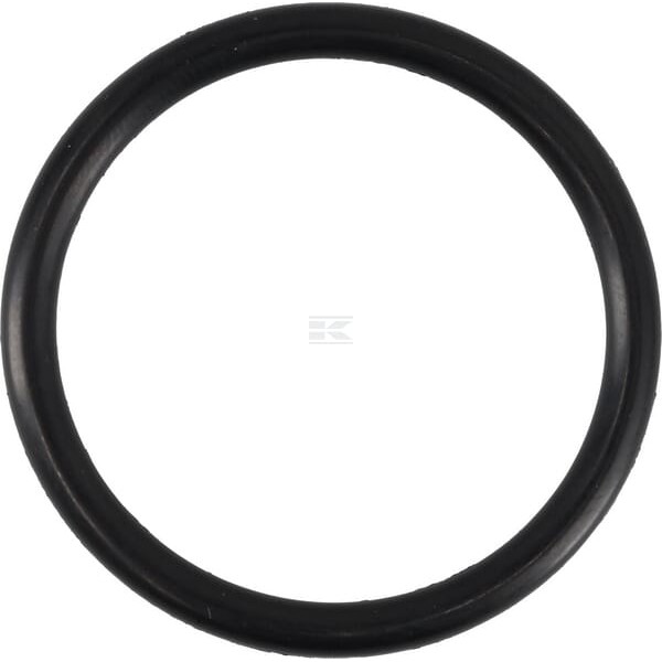 Pierścień uszczelniający o-ring 39x4 mm 75 OR394P010 | Exvi