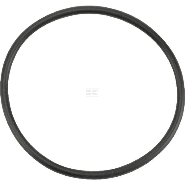 Pierścień uszczelniający o-ring OR504726290P001 | Exvi