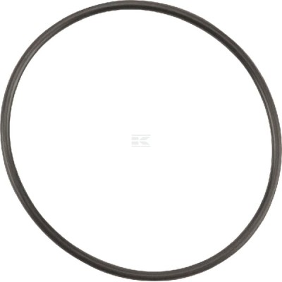 Pierścień uszczelniający o-ring OR631726290P001 | Exvi