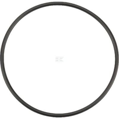 Pierścień uszczelniający o-ring OR726926290P001 | Exvi