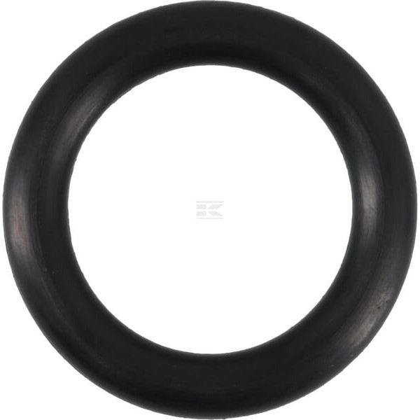Pierścień uszczelniający o-ring 24x5.5 OR24550P010 | Exvi