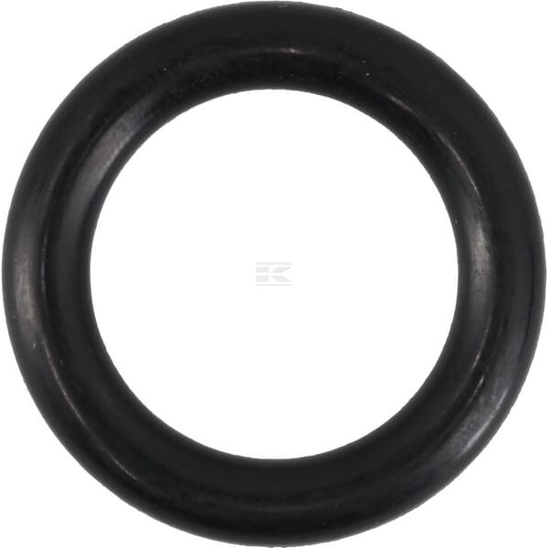 Pierścień uszczelniający o-ring 25x6 mm 75 OR256P010 | Exvi
