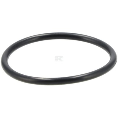 Pierścień uszczelniający o-ring 42x3 mm OR42390P010 | Exvi