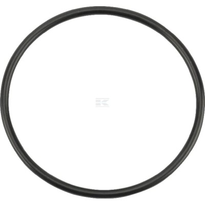Pierścień uszczelniający o-ring OR520726290P001 | Exvi