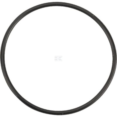 Pierścień uszczelniający o-ring OR599926290P001 | Exvi
