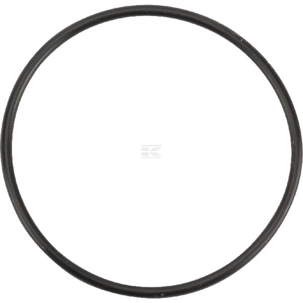 Pierścień uszczelniający o-ring OR599926290P001 | Exvi