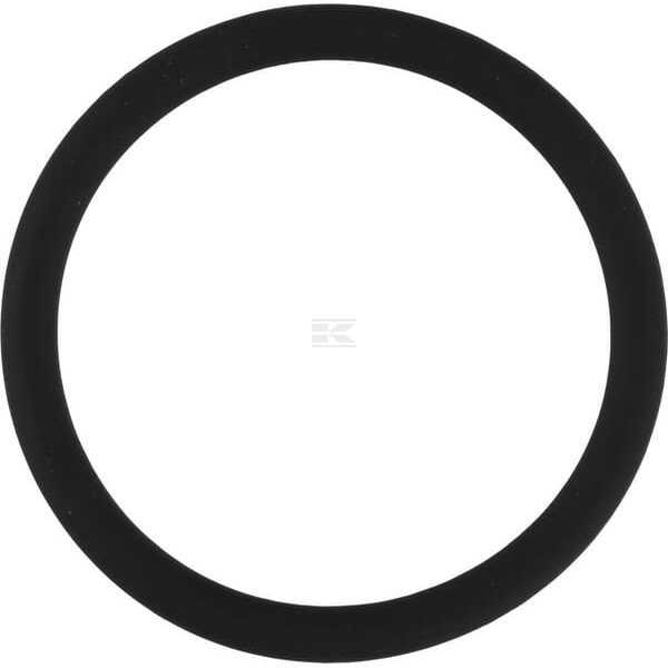 Pierścień uszczelniający o-ring 24x2.5 OR24250VP010 | Exvi