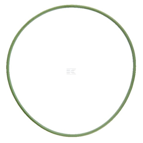 Pierścień uszczelniający o-ring 100x2.5 FKM FC022 | Exvi