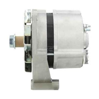 Alternator 14V 33A ALT2625173 | Exvi