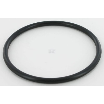 Pierścień uszczelniający, CNH 86625101 | Exvi