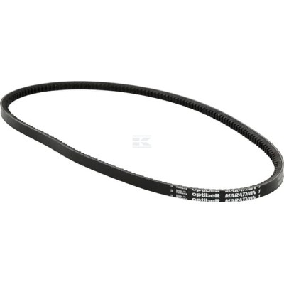 Pas klinowy uzębiony Optibelt, AVX 13x1145 AVX131145 | Exvi