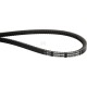 Pas klinowy uzębiony Optibelt, AVX 13x1145 AVX131145 | Exvi