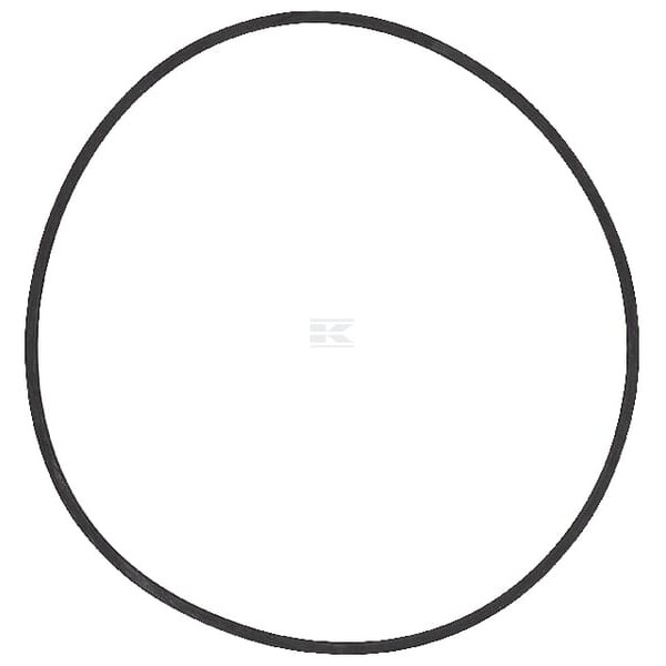 Pierścień uszczelniający o-ring 1286081 | Exvi