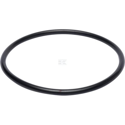Pierścień uszczelniający o-ring 160x8mm OR1608P001 | Exvi