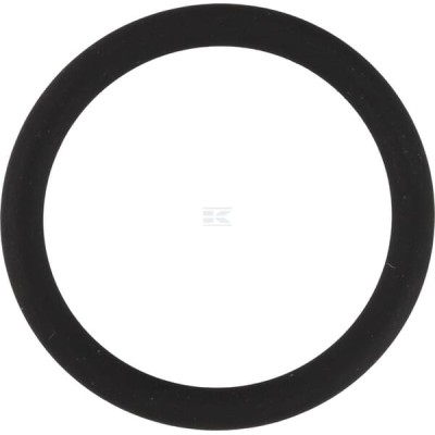Pierścień uszczelniający o-ring 20x2.5 OR20250VP010 | Exvi