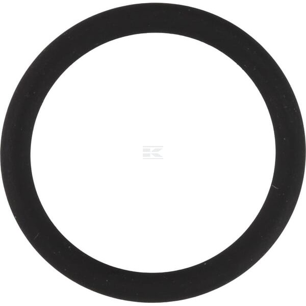 Pierścień uszczelniający o-ring 20x2.5 OR20250VP010 | Exvi