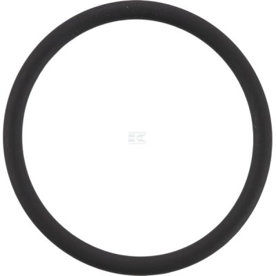 Pierścień uszczelniający o-ring 24x2 mm OR242VP010 | Exvi