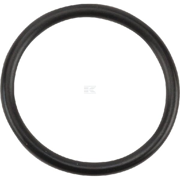 Pierścień uszczelniający o-ring OR266526290P010 | Exvi
