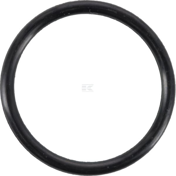 Pierścień uszczelniający o-ring OR282526290P010 | Exvi