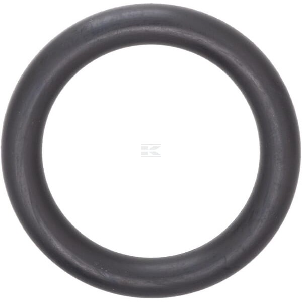 Pierścień uszczelniający o-ring 31x6 mm 75 OR316P010 | Exvi