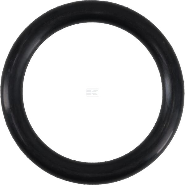 Pierścień uszczelniający o-ring OR342953390P010 | Exvi