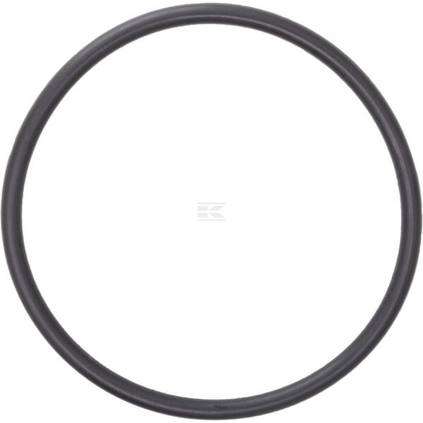 Pierścień uszczelniający o-ring OR473026290P010 | Exvi