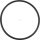 Pierścień uszczelniający o-ring OR552526290P001 | Exvi