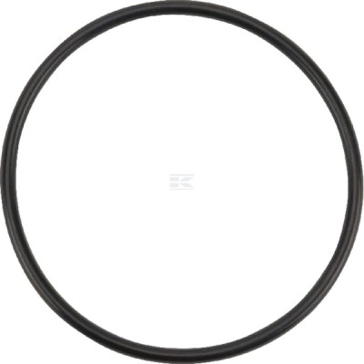 Pierścień uszczelniający o-ring OR552526290P001 | Exvi